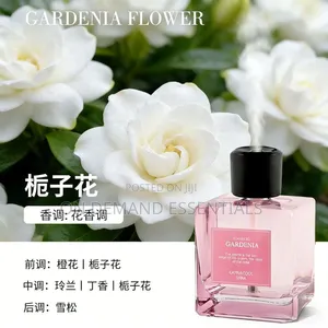 500ml Electric Diffusers Rechargeable