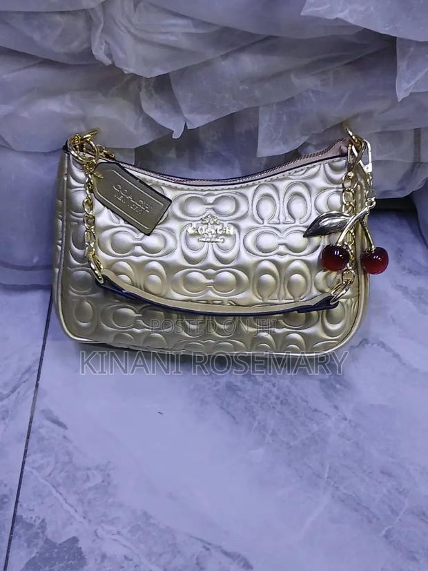 Lavish Coach Bags - thumbnail 2