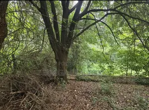 Vacant Land for Sale in Old Kitisuru