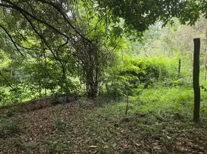 Vacant Land for Sale in Old Kitisuru