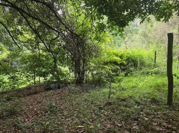 Vacant Land for Sale in Old Kitisuru