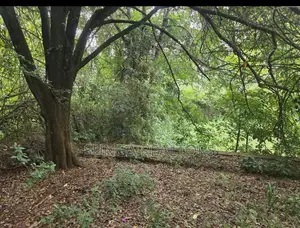 Vacant Land for Sale in Old Kitisuru