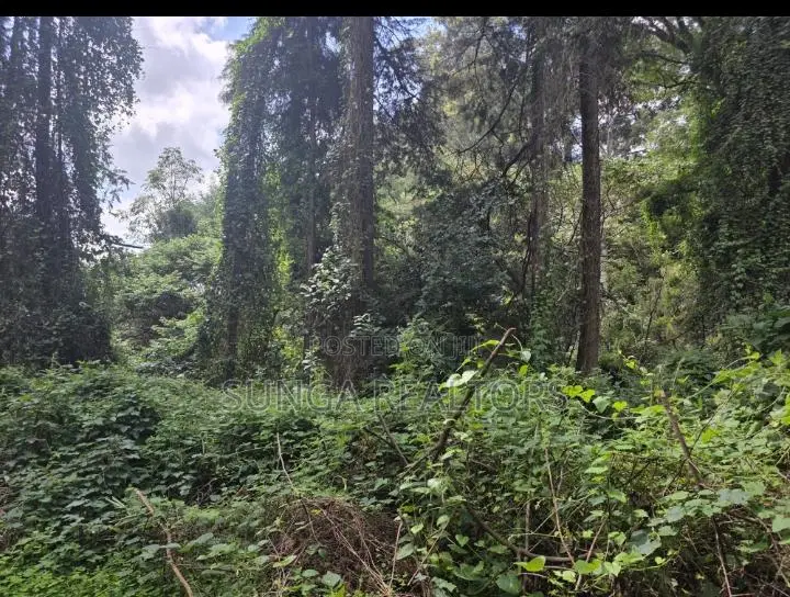 Vacant Land for Sale in Old Kitisuru