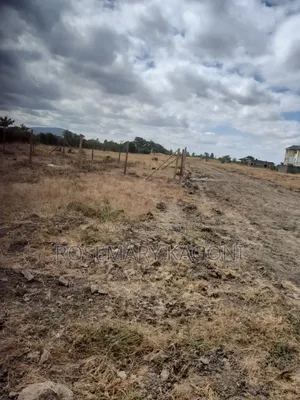 Prime Plots for Sale in Jujafarm Along Mwireri Road
