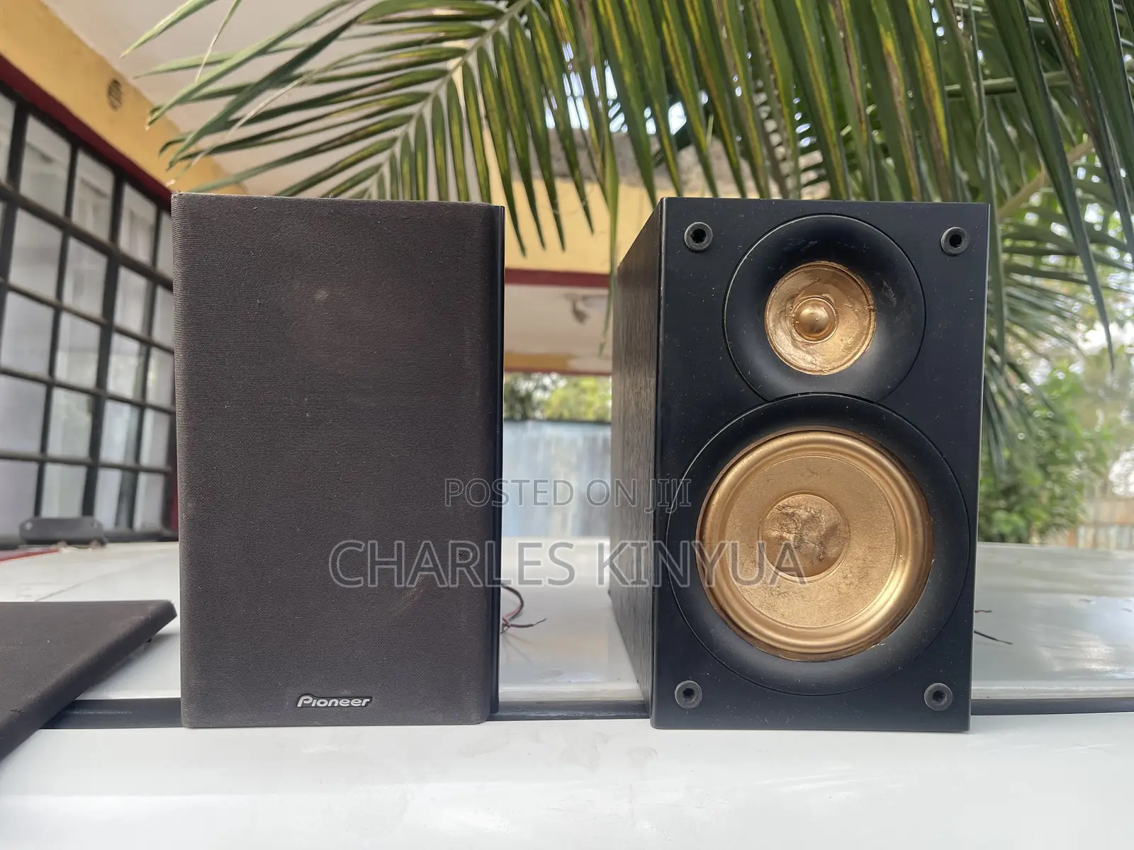 Pioneer S-Hm21