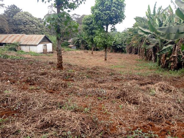 1 Acres Kiukenda - main view