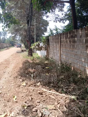 1.3acres Kiukenda