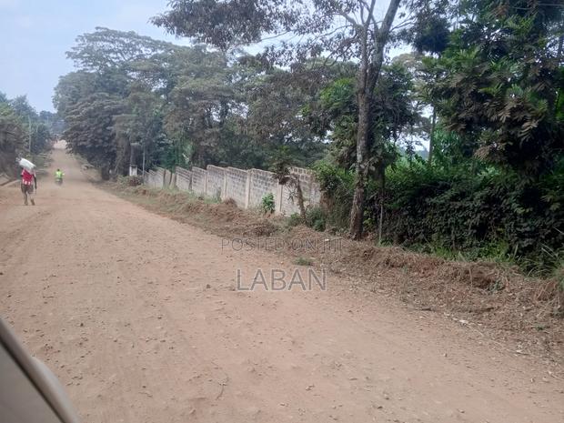 1 Acres Kiukenda - thumbnail 4