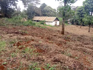 1.3acres Kiukenda