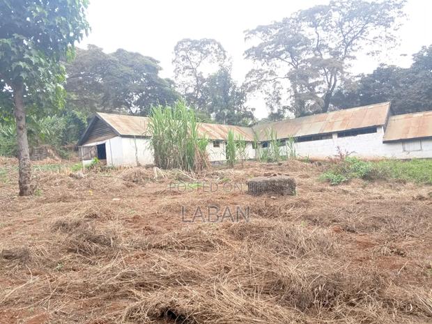1 Acres Kiukenda - thumbnail 6