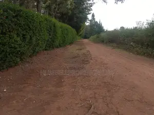 Plots on Sale