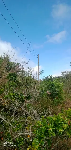 Agricultural Land