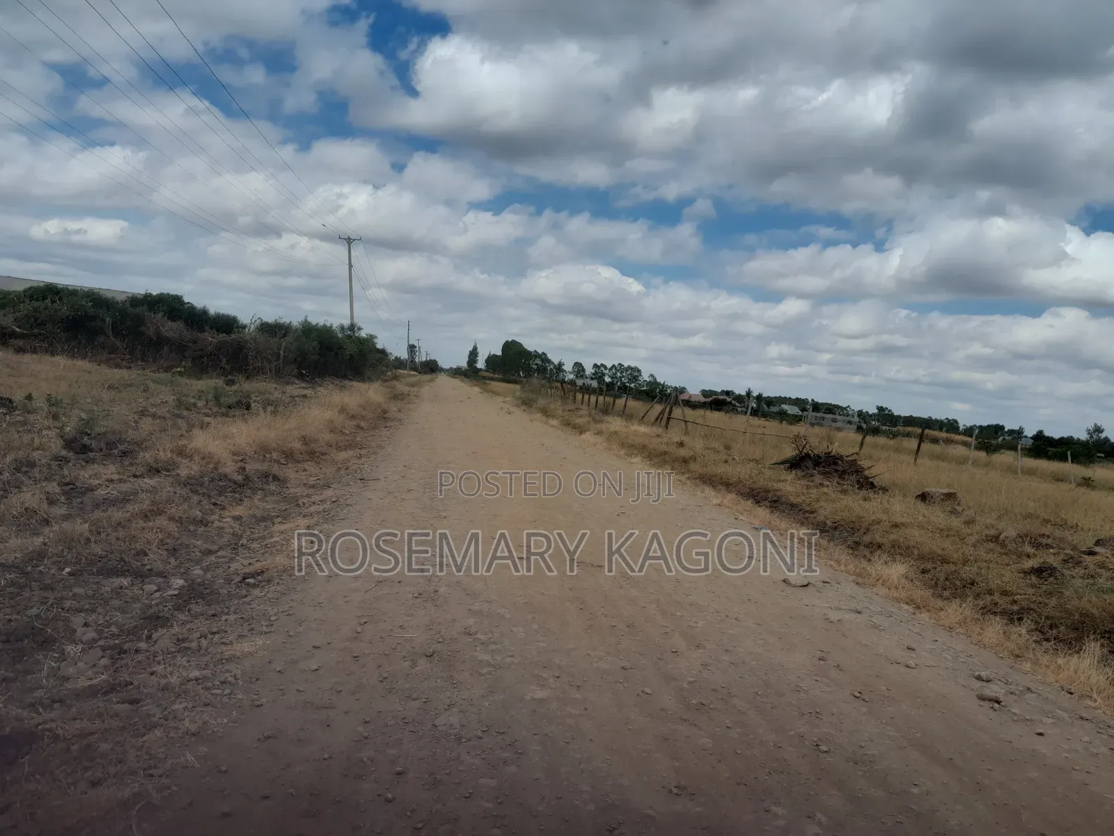 Prime Plots for Sale in Jujafarm Along Mwireri Road