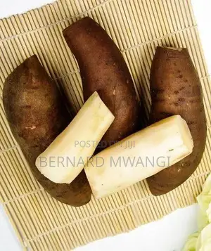 Yakon Fruit for Sale
