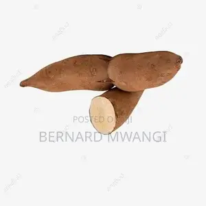 Yakon Fruit for Sale