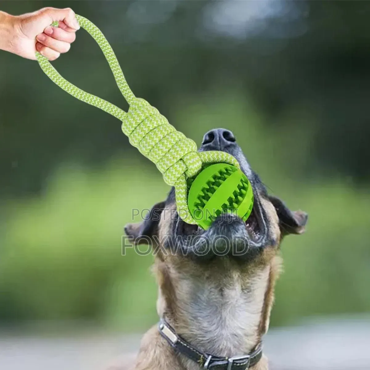 Dog Ball With Rope Tug of War Toy Interactive Dog Toy