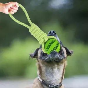 Dog Ball With Rope Tug of War Toy Interactive Dog Toy