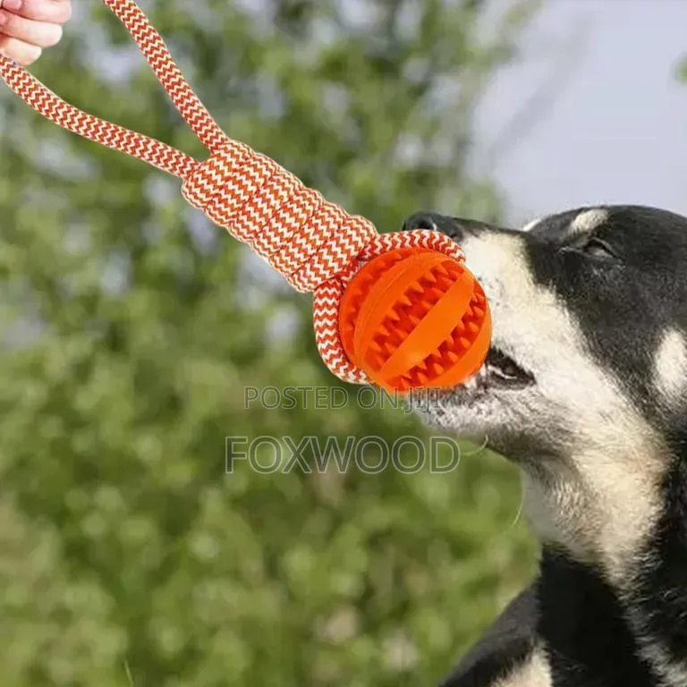 Dog Ball With Rope Tug of War Toy Interactive Dog Toy