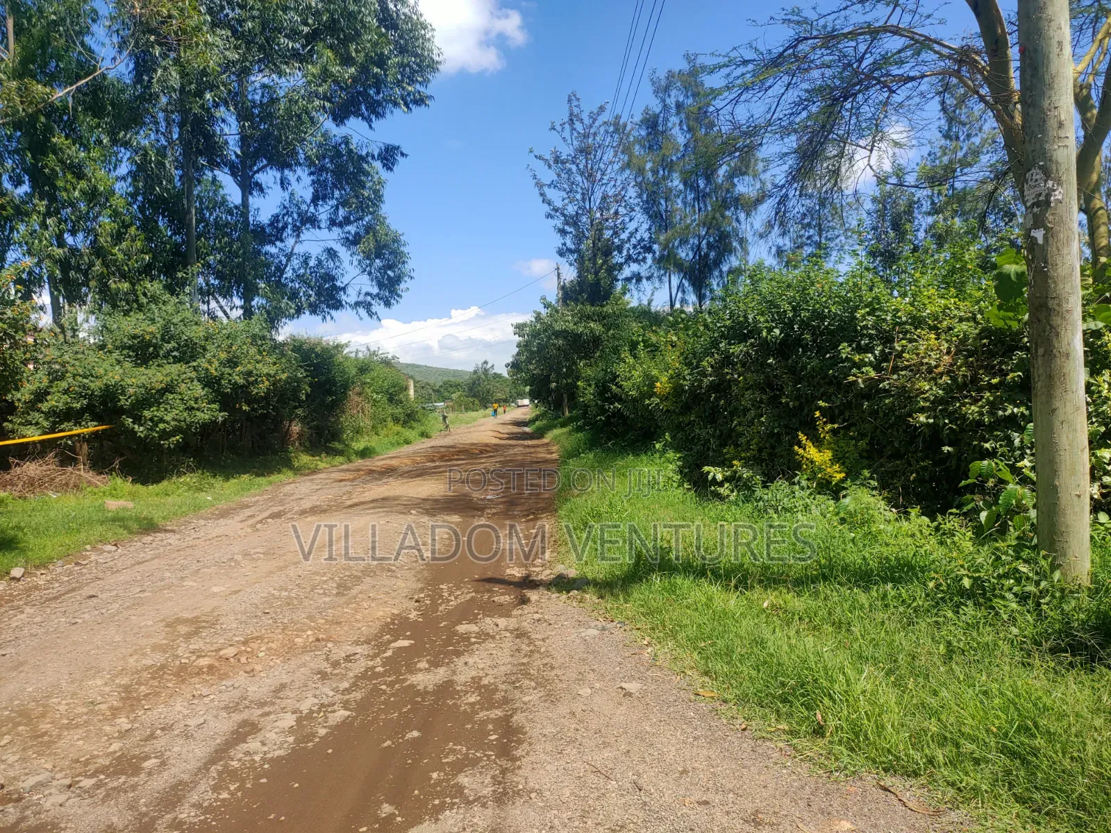 For Sale 1/4 Acre Plot Behind Stem Hotel Ideal for a Home
