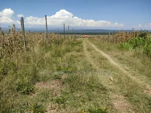 For Sale 50/100 Plots in Mwariki C Strategically Located.