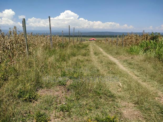 For Sale 50/100 Plots in Mwariki C Strategically Located.