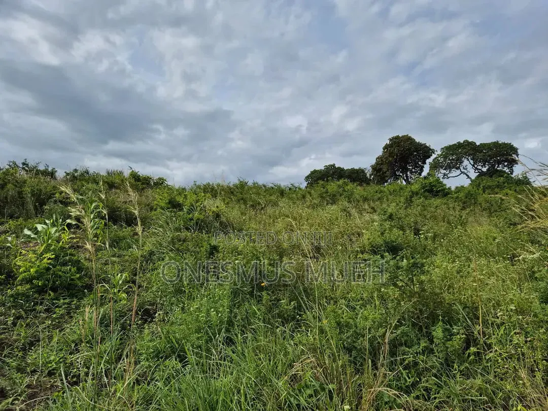 7 Acres of Land for Sale in Ukunda