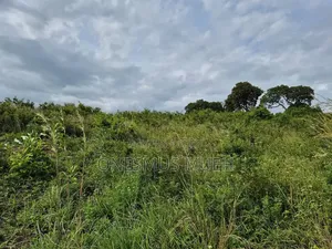 7 Acres of Land for Sale in Ukunda
