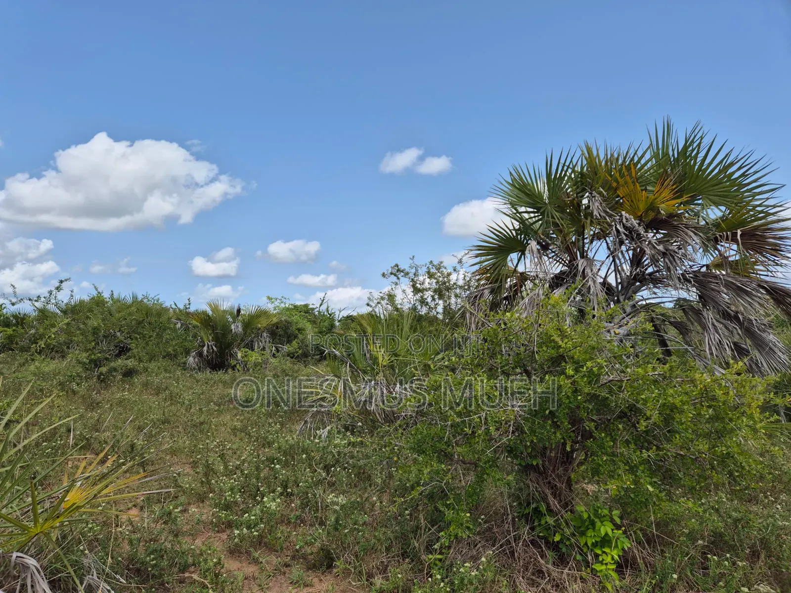 7 Acres of Land for Sale in Ukunda