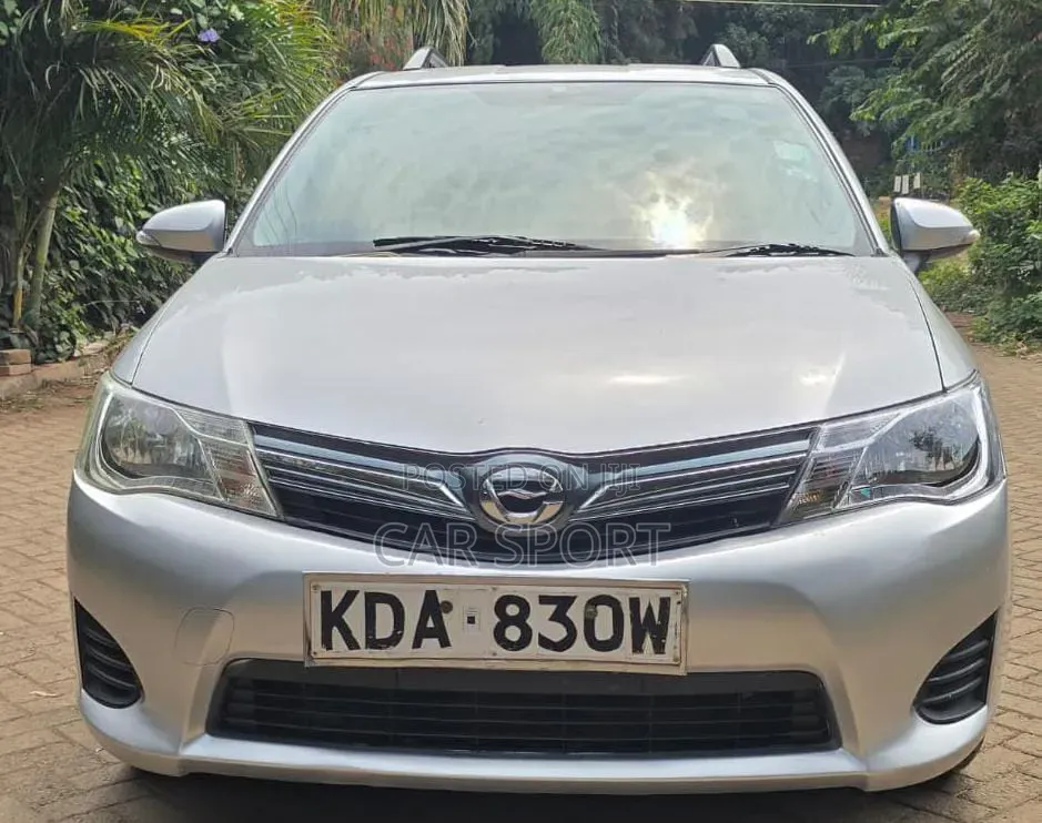 Toyota Corolla Fielder 2013 Silver