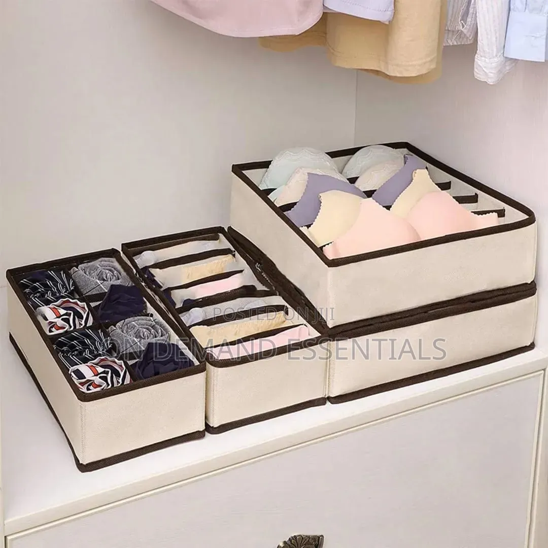 4Pcs Innerwear Organisers With Dividers
