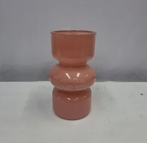 Decorative Glass Hydroponic Flower Vases