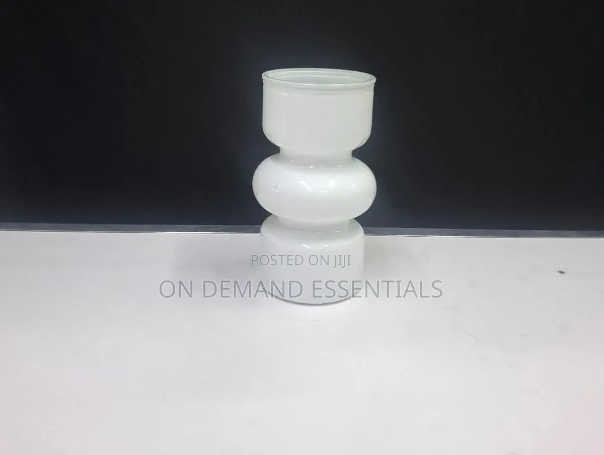 Decorative Glass Hydroponic Flower Vases
