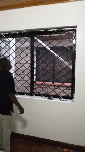 Matte Black Aluminum Window