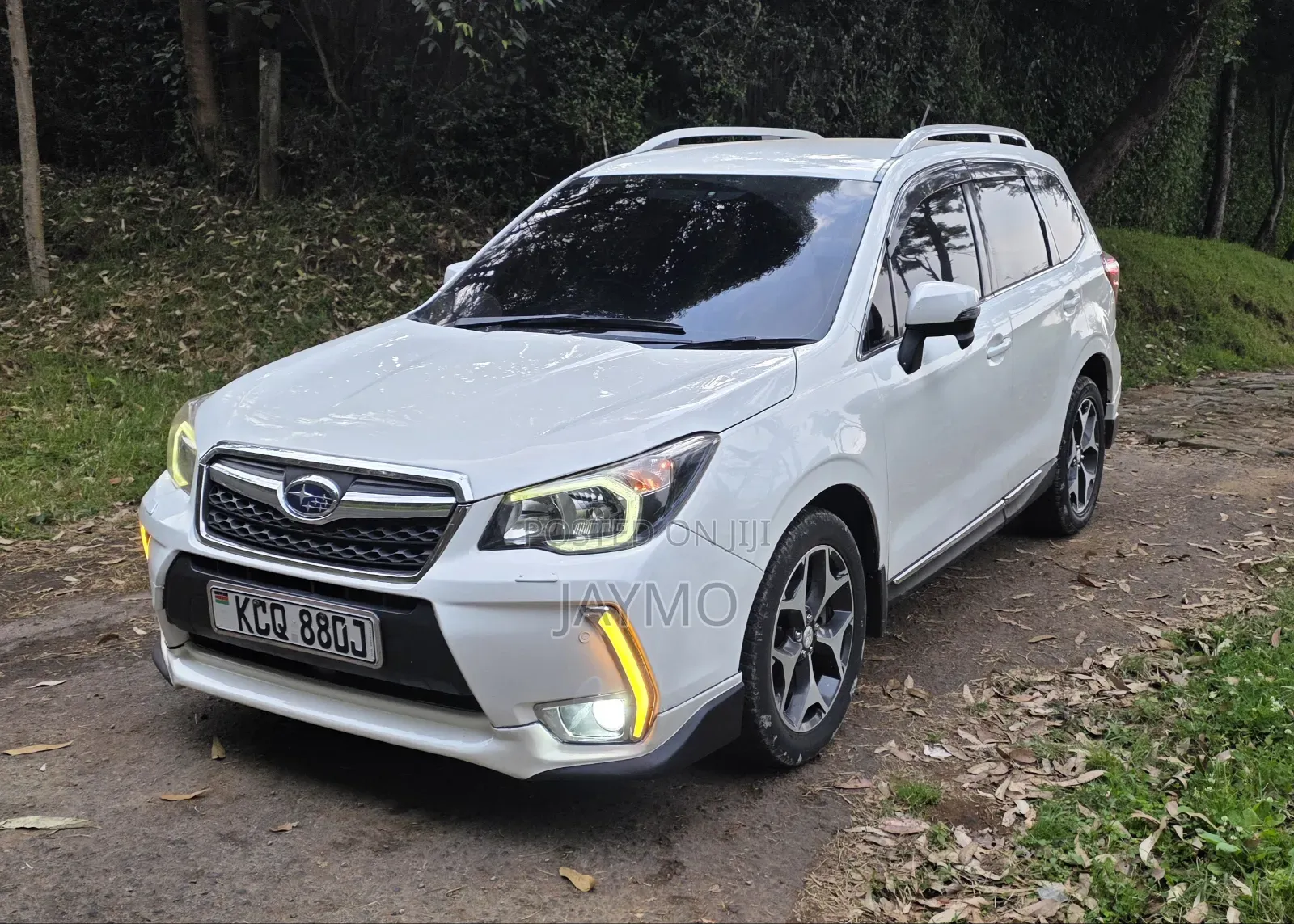 Subaru Forester 2013 Pearl