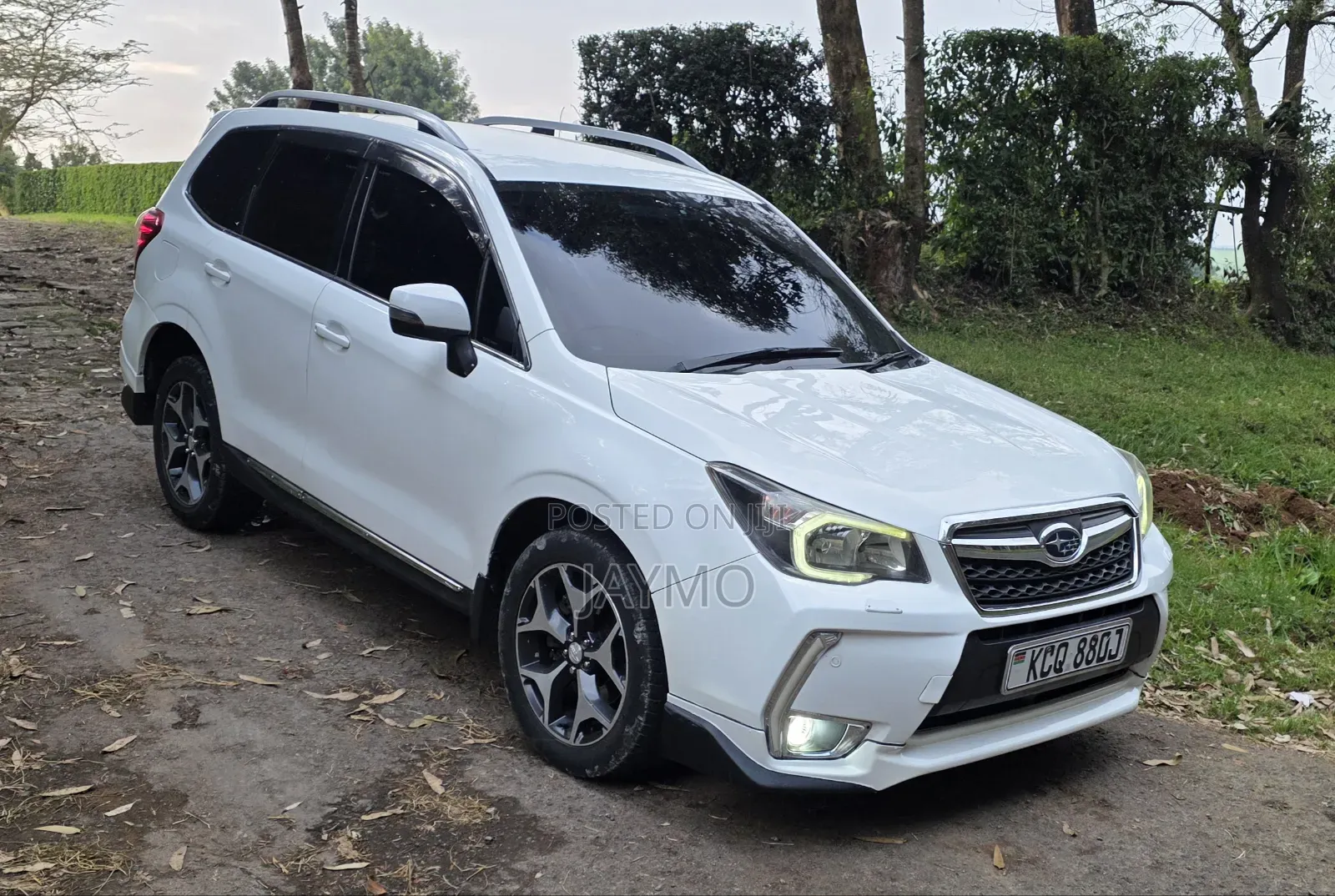 Subaru Forester 2013 Pearl