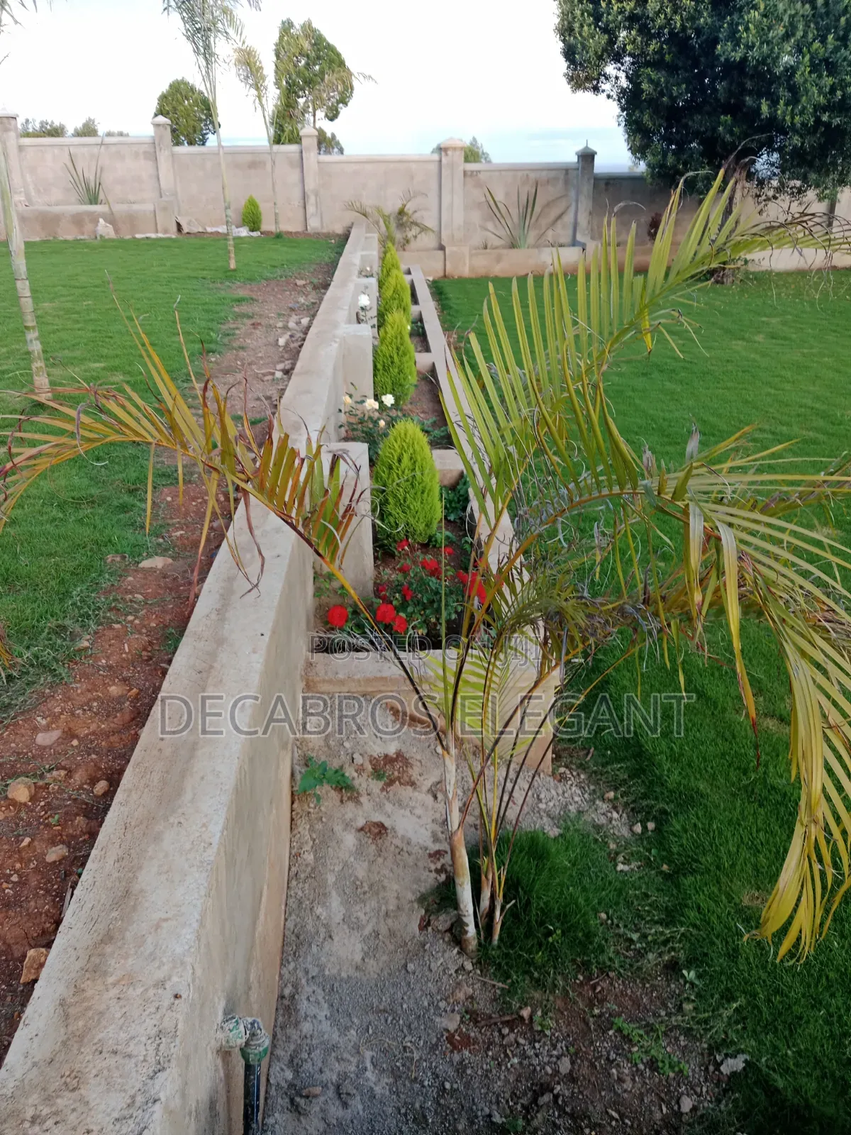 Landscaping and Cabro Works