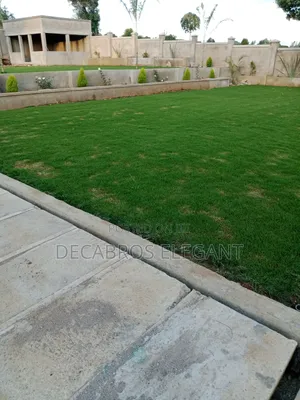 Landscaping and Cabro Works