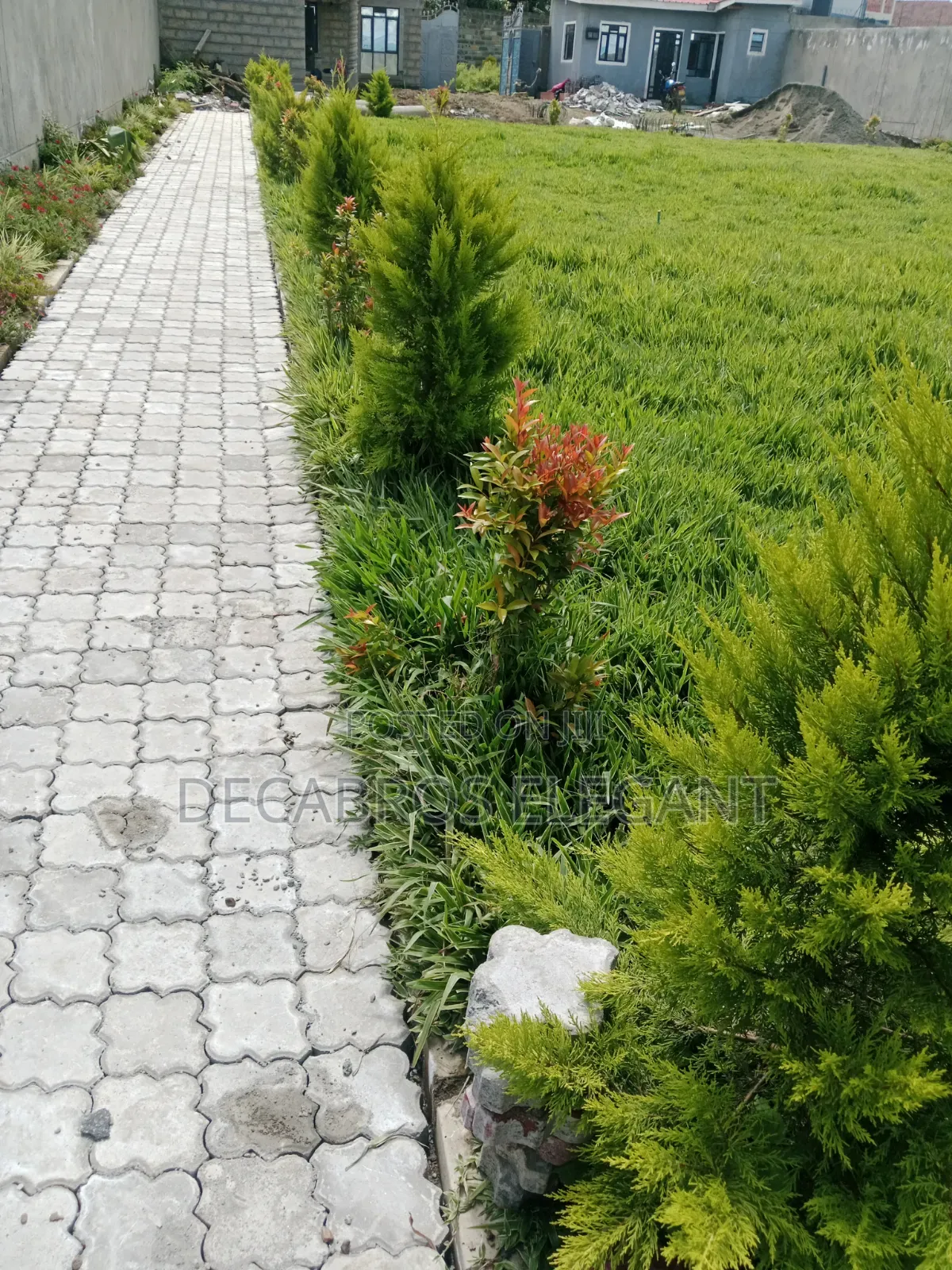 Landscaping and Cabro Works