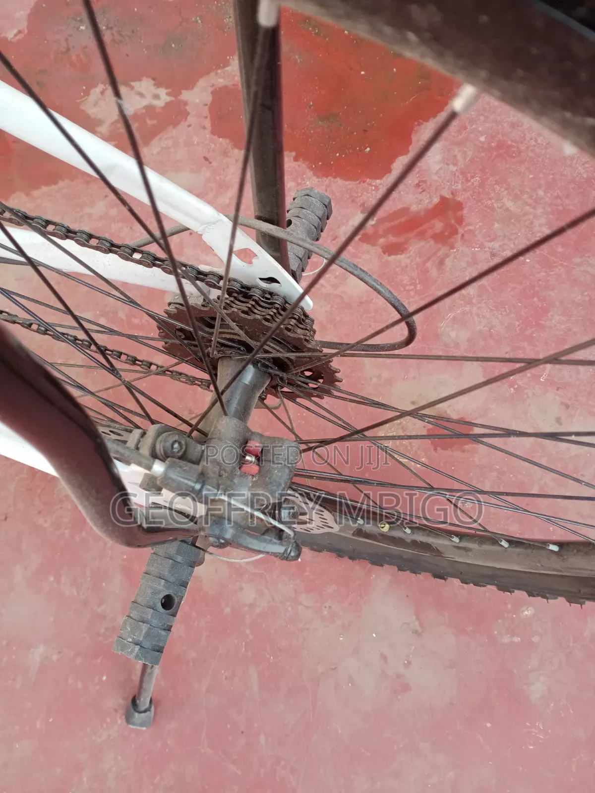 Mountain Bike