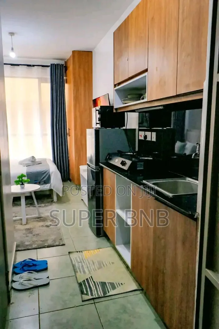 Fully Furnished Studio, One, Two and Three Bedroom in THIKA ROAD BNBS