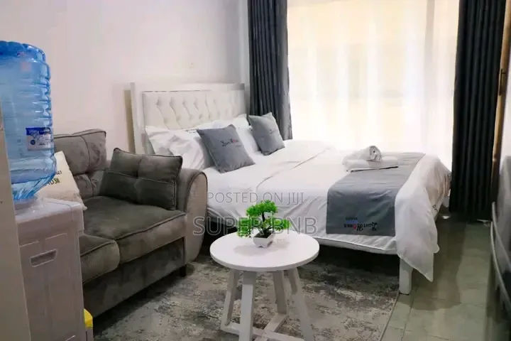 Fully Furnished Studio, One, Two and Three Bedroom in THIKA ROAD BNBS