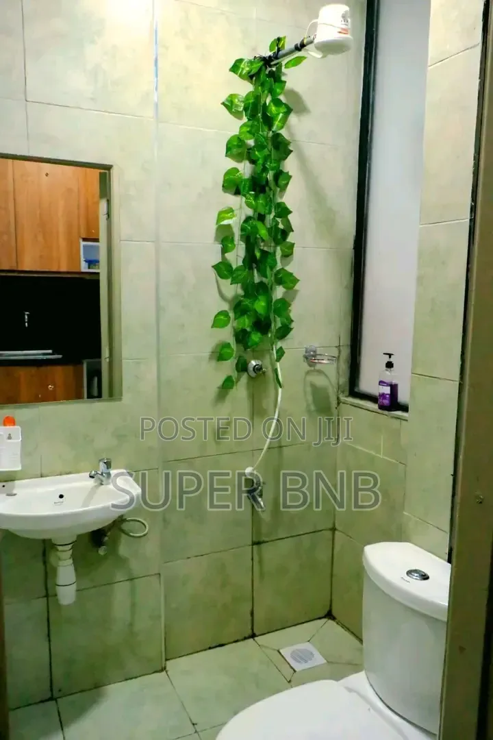 Fully Furnished Studio, One, Two and Three Bedroom in THIKA ROAD BNBS