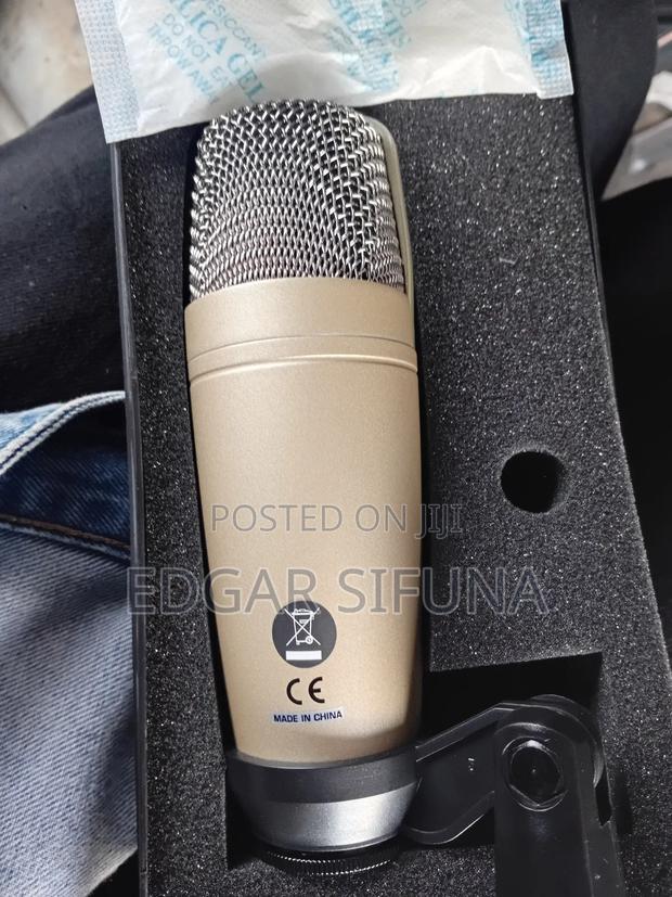 Microphone