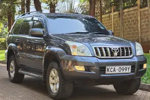 Toyota Land Cruiser Prado 2008 Gray