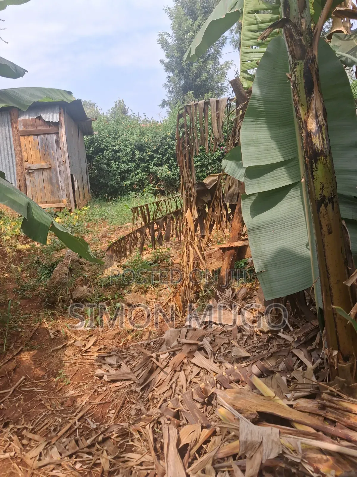 Kiamumbi Prime Residential 1/8 Plot on Pretoria Street Freehold Title