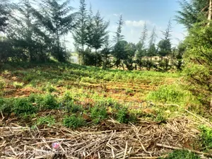 Plots for Sale