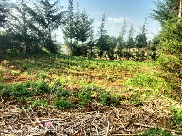 Plots for Sale - thumbnail 2