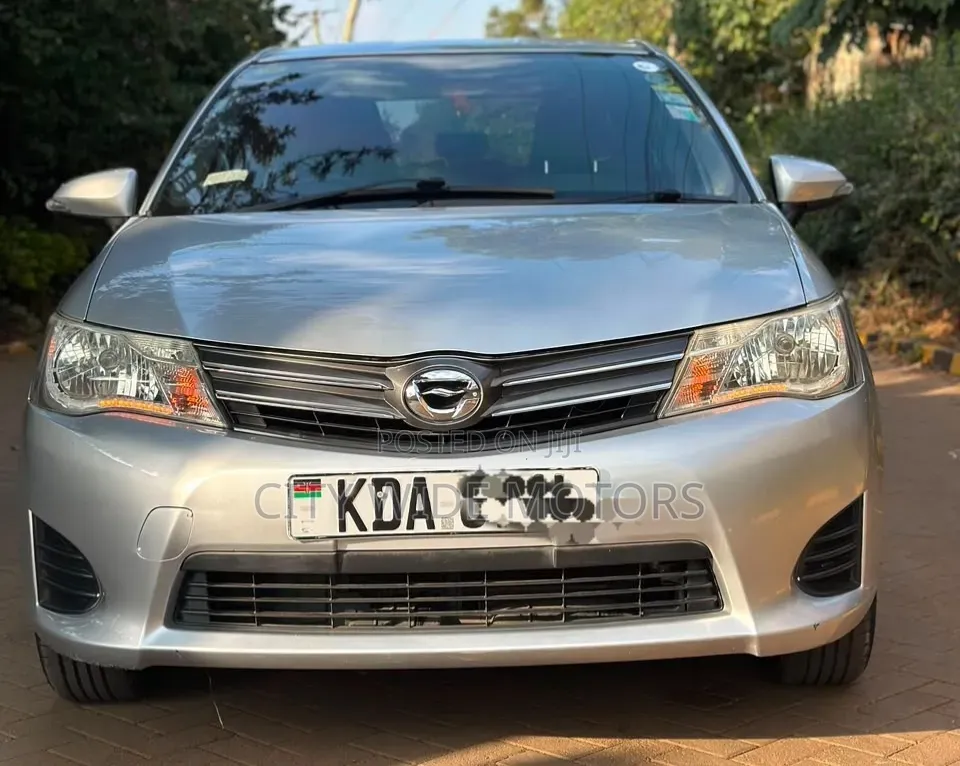 Toyota Axio 2013 Silver