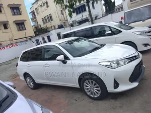 Toyota Corolla Fielder 2019 White