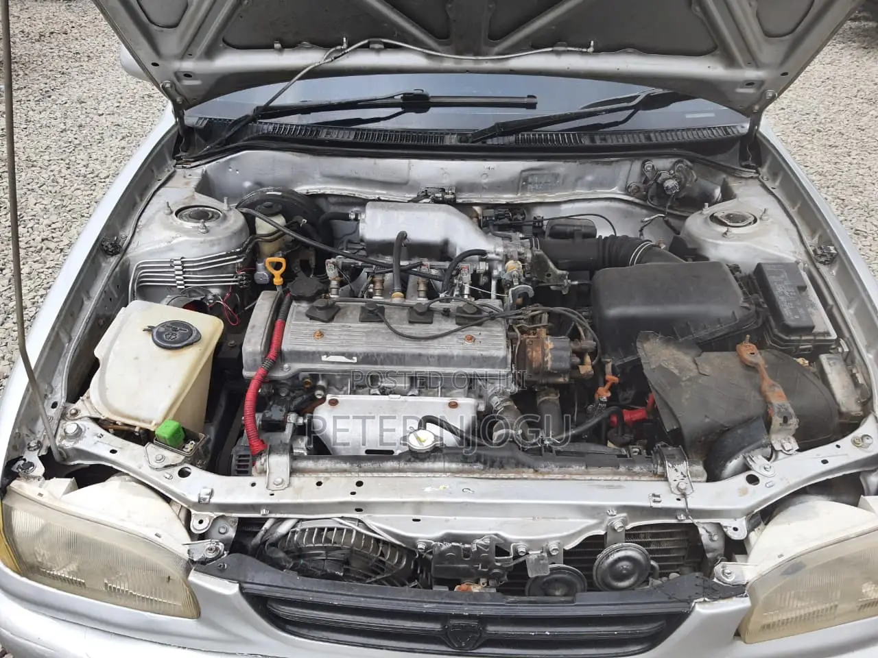 Toyota Corolla 2001 Gold